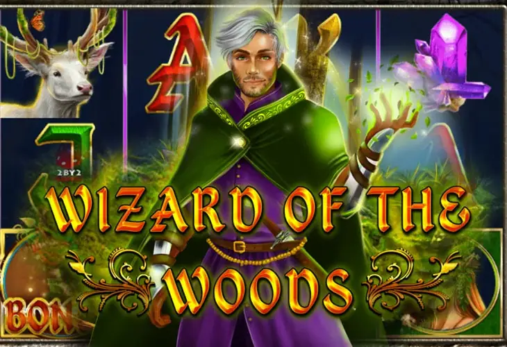 Wizard Of The Woods